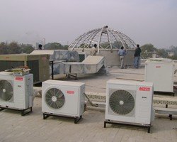 DIB GULBERG 09