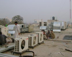 DIB GULBERG 14